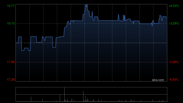 环球华商俱乐部委任国诚会计师事务所为新任核数师