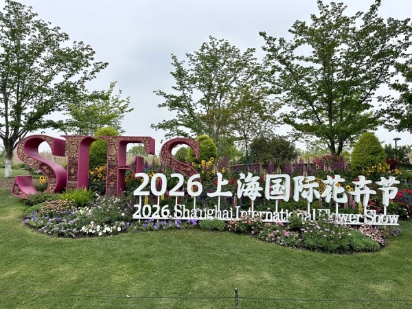 探营花卉节上植主会场：新品争奇斗艳，花园做成样板间，“专业含金量”飙升