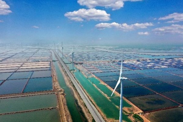 新能源新材料扛起“第六极”！滨州再造一个千亿级产业集群