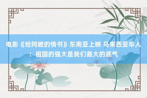 电影《给阿嬷的情书》东南亚上映 马来西亚华人：祖国的强大是我们最大的底气