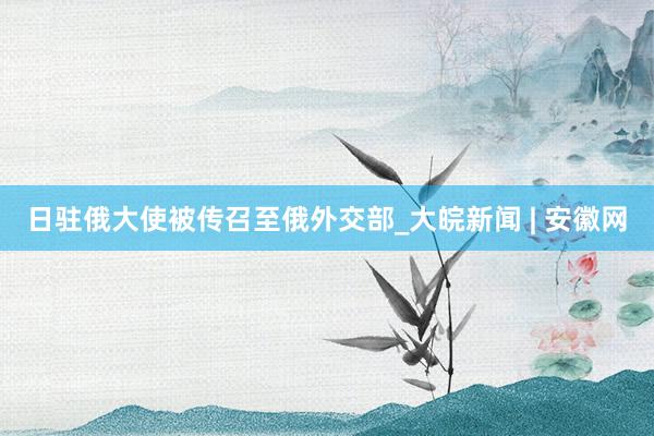 日驻俄大使被传召至俄外交部_大皖新闻 | 安徽网
