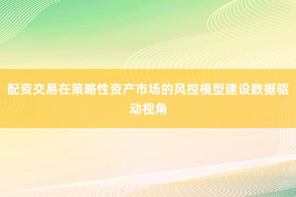 配资交易在策略性资产市场的风控模型建设数据驱动视角
