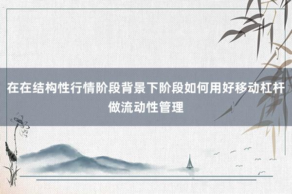 在在结构性行情阶段背景下阶段如何用好移动杠杆做流动性管理