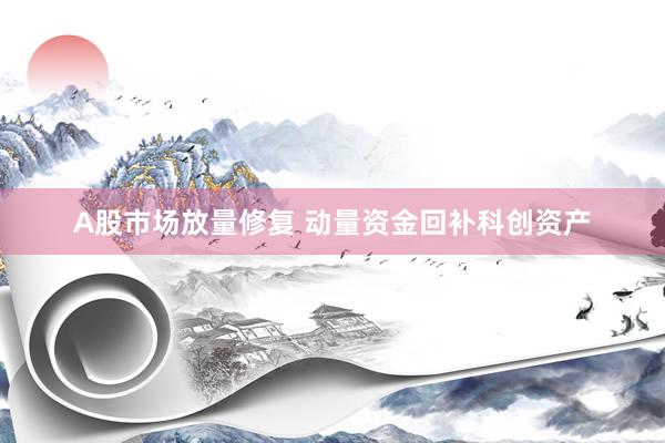 A股市场放量修复 动量资金回补科创资产