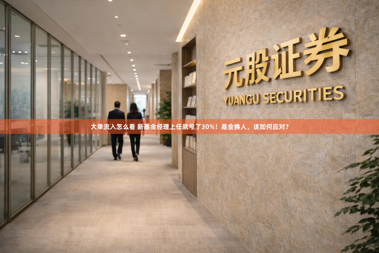 大单流入怎么看 新基金经理上任就亏了30%!基金换人,该如何应对?