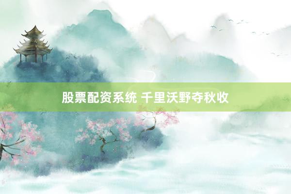 股票配资系统 千里沃野夺秋收