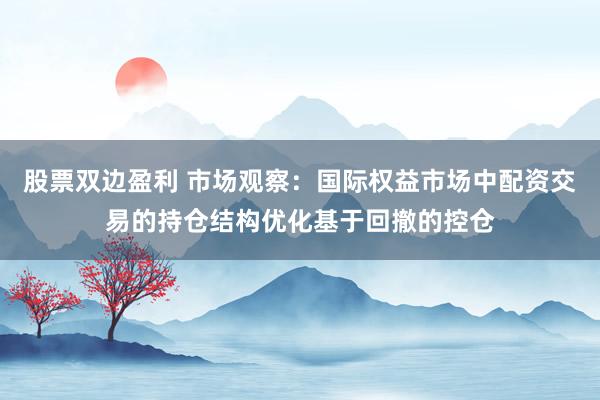 股票双边盈利 市场观察：国际权益市场中配资交易的持仓结构优化基于回撤的控仓