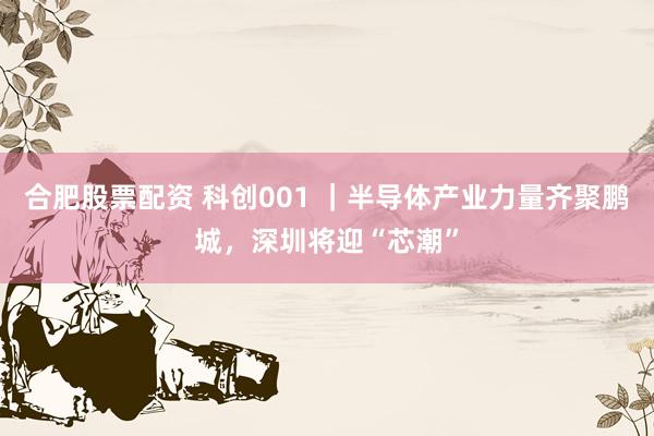 合肥股票配资 科创001 ｜半导体产业力量齐聚鹏城，深圳将迎“芯潮”