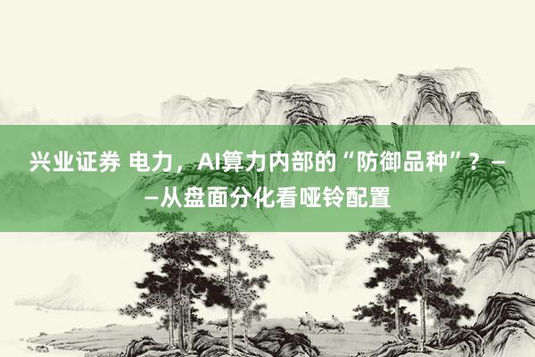 兴业证券 电力，AI算力内部的“防御品种”？——从盘面分化看哑铃配置
