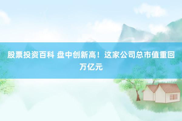 股票投资百科 盘中创新高！这家公司总市值重回万亿元