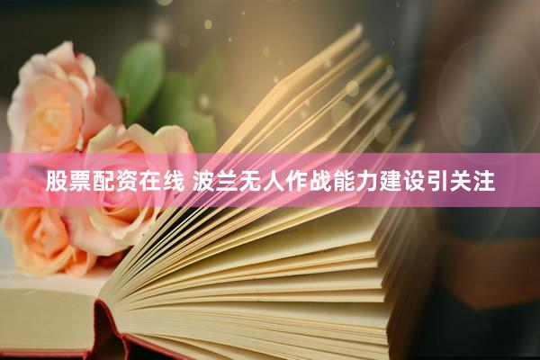 股票配资在线 波兰无人作战能力建设引关注