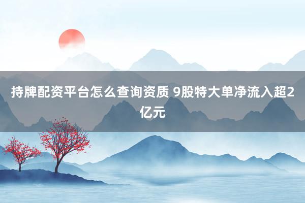 持牌配资平台怎么查询资质 9股特大单净流入超2亿元